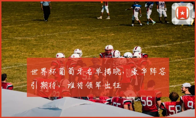 世界杯葡萄牙名单揭晓，豪华阵容引期待，谁将领军出征