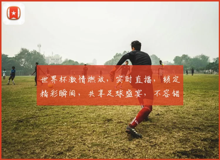 世界杯激情燃放，实时直播，锁定精彩瞬间，共享足球盛宴，不容错过