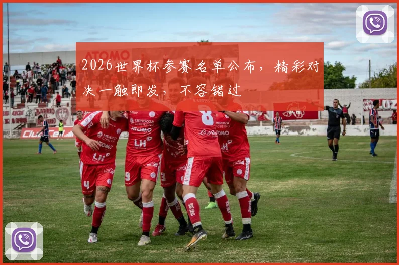2026世界杯参赛名单公布，精彩对决一触即发，不容错过