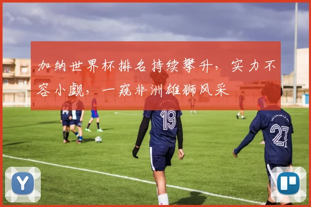 加纳世界杯排名持续攀升，实力不容小觑，一窥非洲雄狮风采