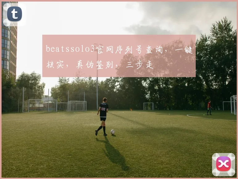 beatssolo3官网序列号查询，一键核实，真伪鉴别，三步走