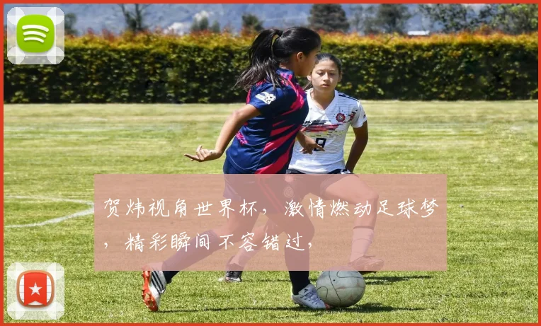 贺炜视角世界杯，激情燃动足球梦，精彩瞬间不容错过，